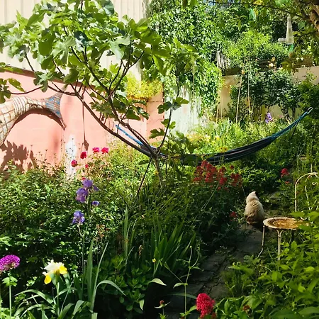Chez Renaud